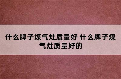 什么牌子煤气灶质量好 什么牌子煤气灶质量好的